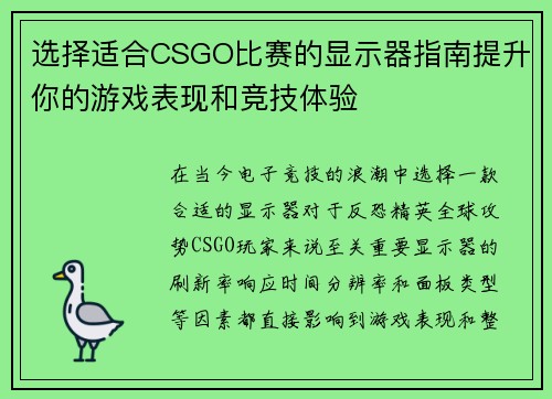 选择适合CSGO比赛的显示器指南提升你的游戏表现和竞技体验